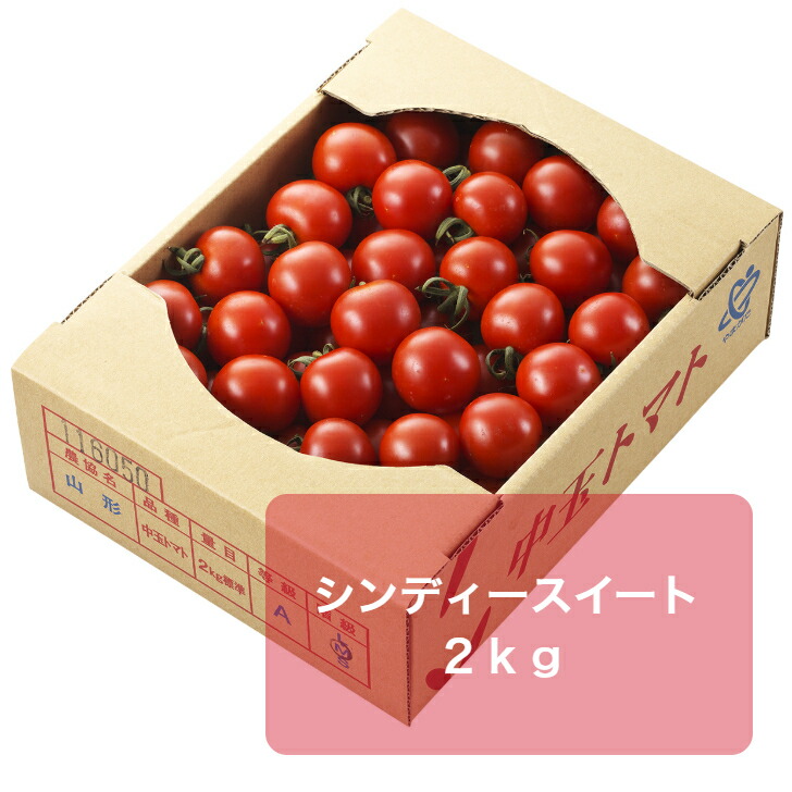 シンディスイートの写真