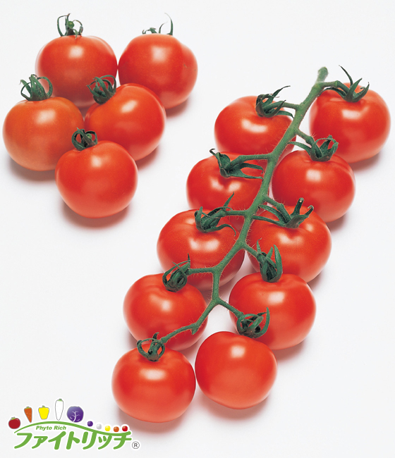 フルティカの写真