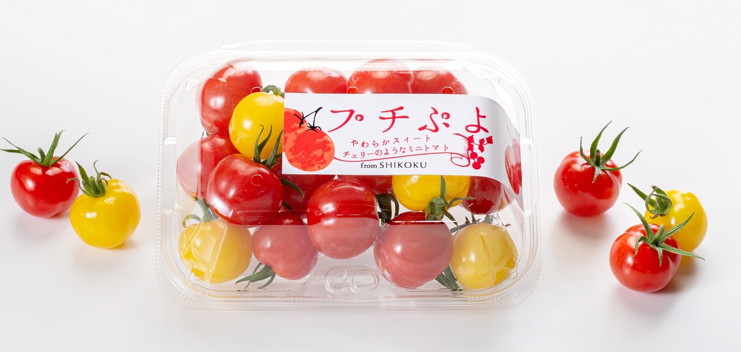 プチぷよの写真